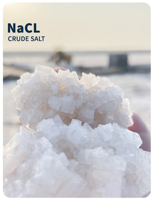 必发·bifa(中国集团)唯一官方网站